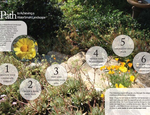 A Homeowner’s Guide to WaterSmart Landscape