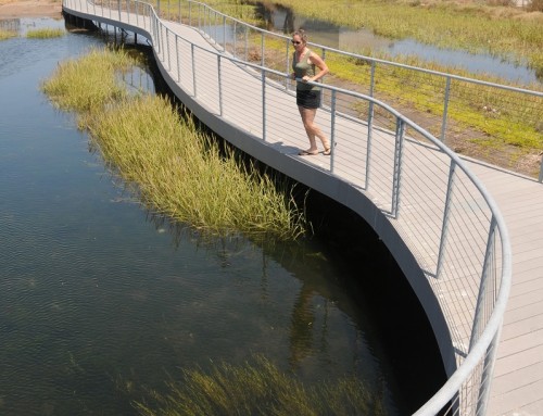 Paradise Creek Educational Park