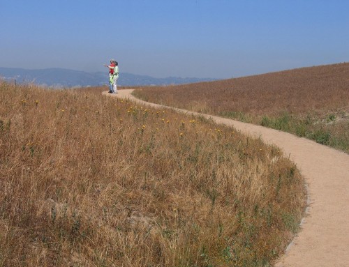 Baldwin Hills Scenic Overlook