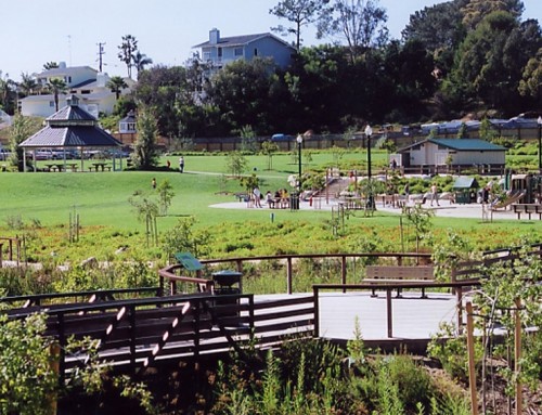 Cottonwood Creek Park