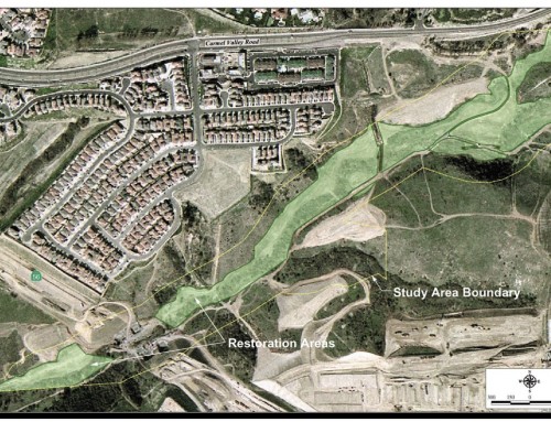 McGonigle Canyon Wetland Restoration