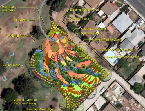 Azalea Park Drought Tolerant Garden