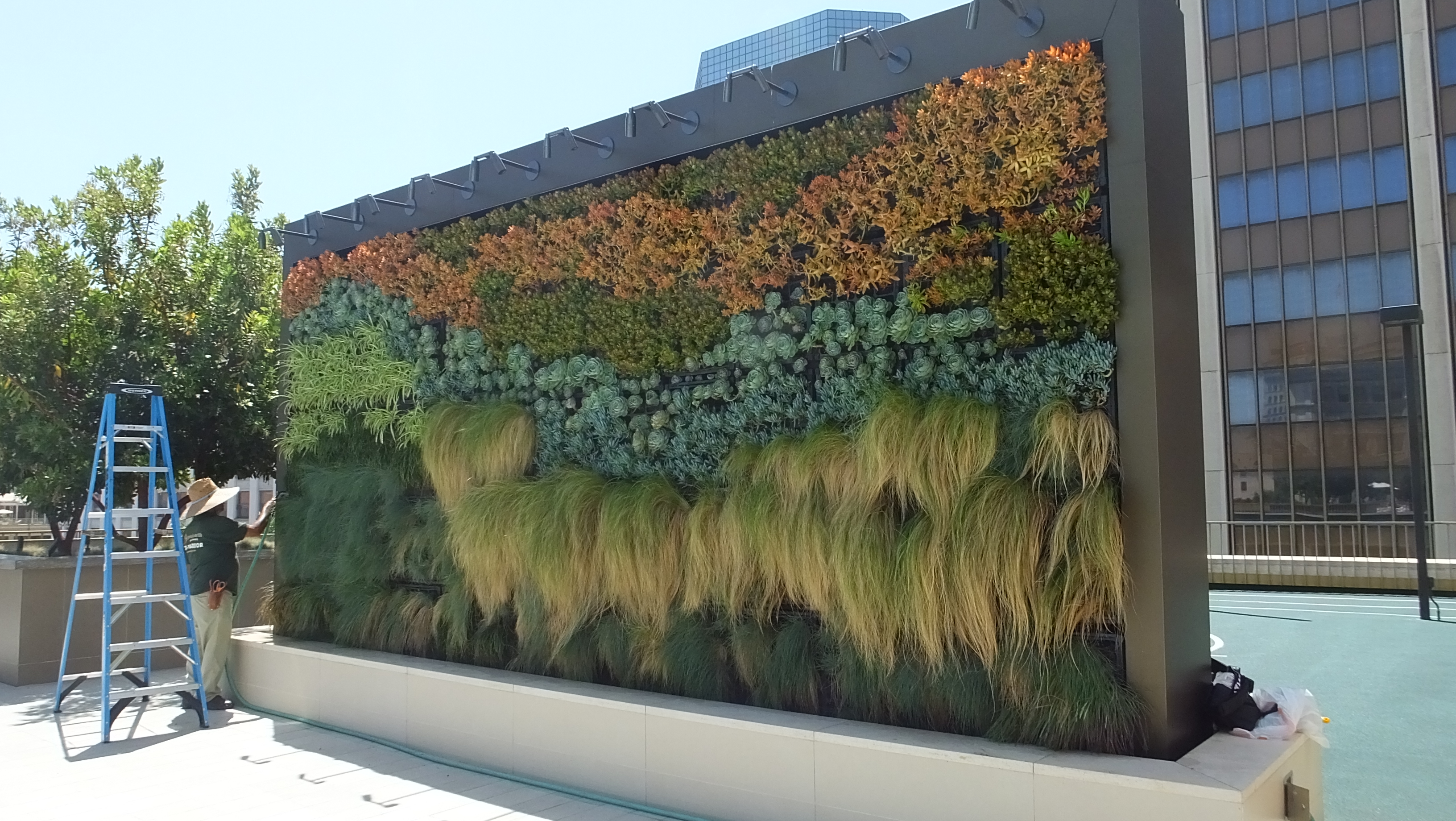 Art on the Land "Living Walls" Bring Life to the City San Diego