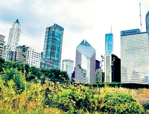 ASLA San Diego Chapter Members to Present at National Meeting