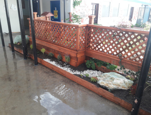 Chula Vista High School Victory Garden