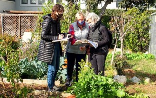 Gardeners and landscape architects at Juniper-Front Community Garden in San Diego