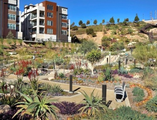 Collaboration is the key for City of San Diego’s landscape architects