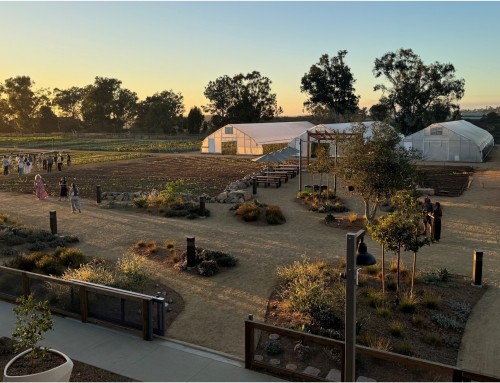 Fox Point Farms